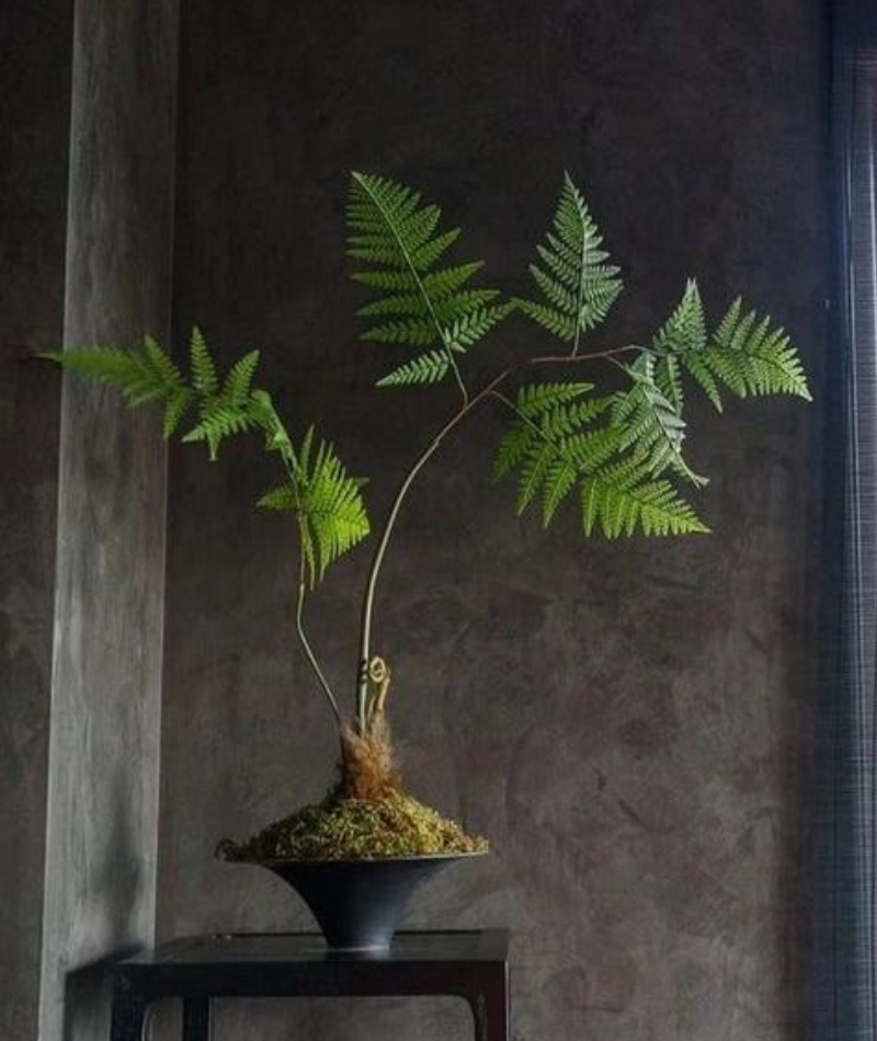 DECO HOME 24