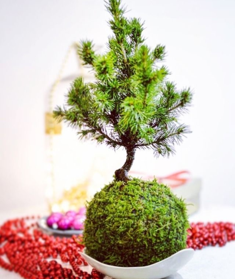 DECO NAVIDAD D25
