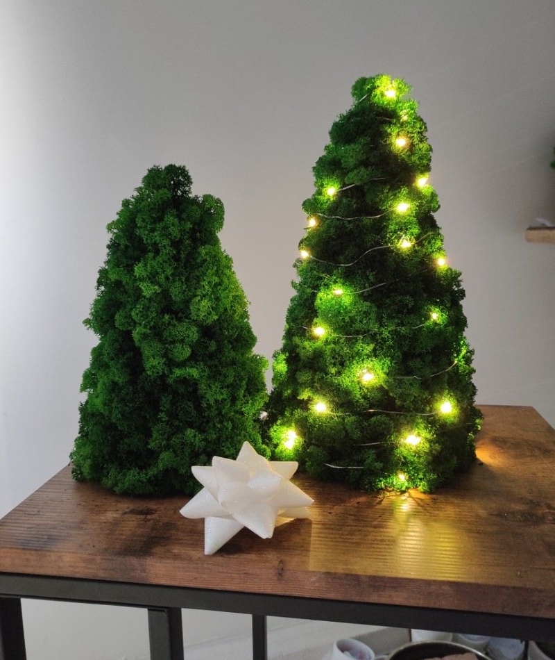 DECO NAVIDAD D35